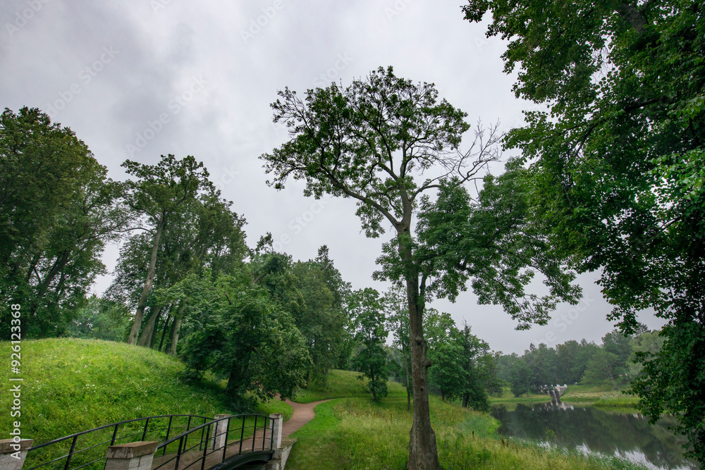 Obraz premium A bridge over a grassy field with trees in the background