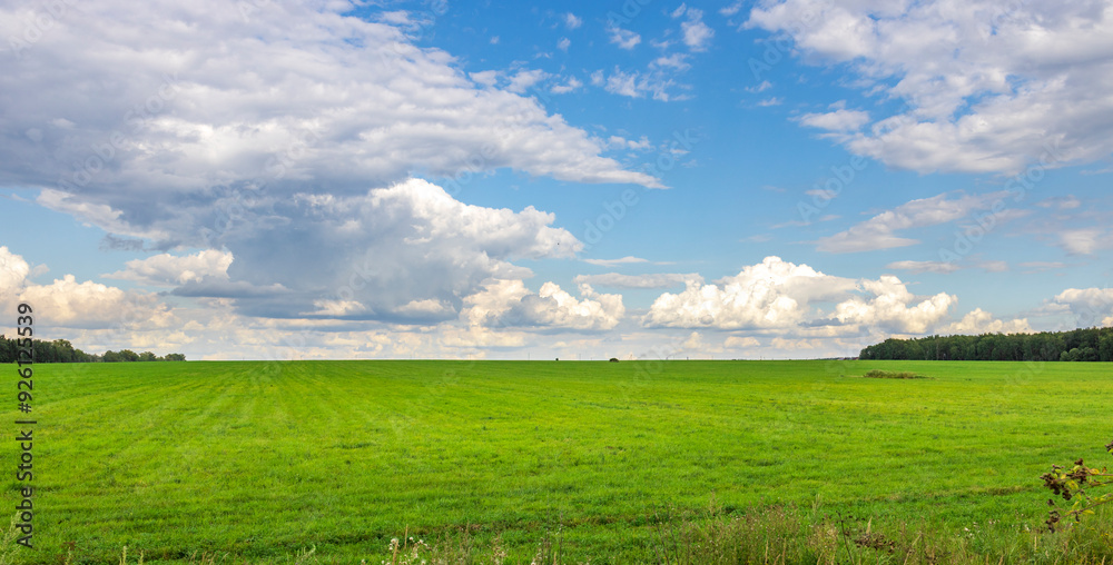 A large, open field with a clear blue sky A large, open field with a clear blue sky