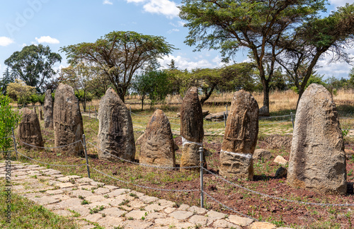 Photography Ethiopia,  decorated steles of the prehistoric site of  Tiya.