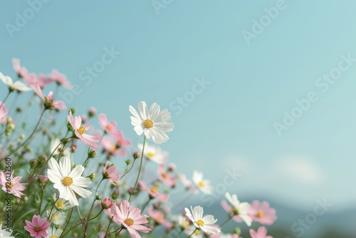 Summer floral scene with bright and colorful flowers in full bloom, bathed in warm sunlight and set against a clear blue sky