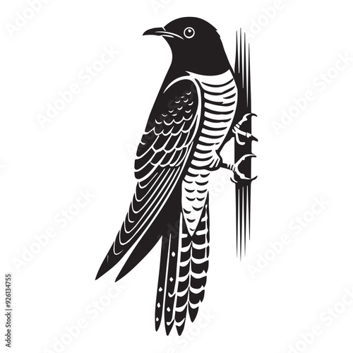 Common Cuckoo silhouette, European cuckoo Bird Clipart, Common Cuckoo clinging to a vertical surface Illustration in black and white