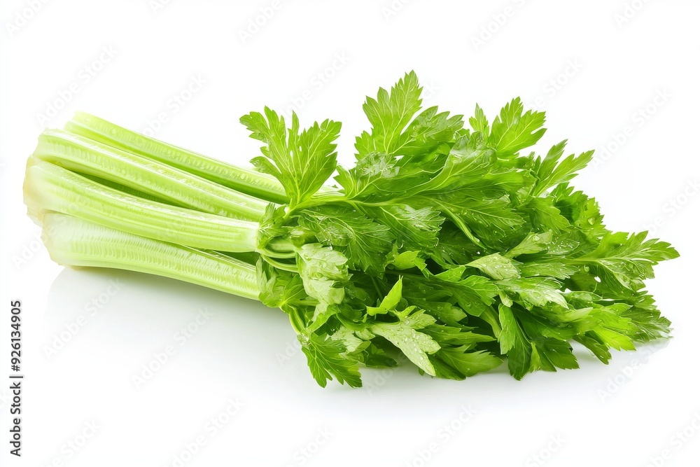 A fresh stalk of celery, vibrant green with crisp, textured leaves and long, slender stems, isolated against a pure white background, the celery showing subtle natural imperfections and moisture dropl A fresh stalk of celery, vibrant green with crisp, textured leaves and long, slender stems, isolated against a pure white background, the celery showing subtle natural imperfections and moisture dropl