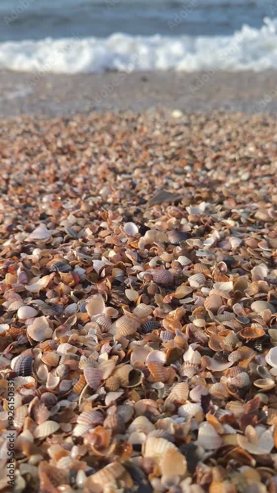 Summer concept with sandy beach, shells and starfish lapping by calm ocean waves. Meditation sea video, relaxation, screensaver. Seashells lying on the wavy sand of the seabed. Sea waves the beach. Summer concept with sandy beach, shells and starfish lapping by calm ocean waves. Meditation sea video, relaxation, screensaver. Seashells lying on the wavy sand of the seabed. Sea waves the beach.