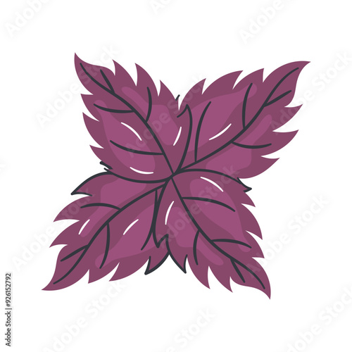 Red basil icon with vibrant leaves, representing a flavorful aromatic herb