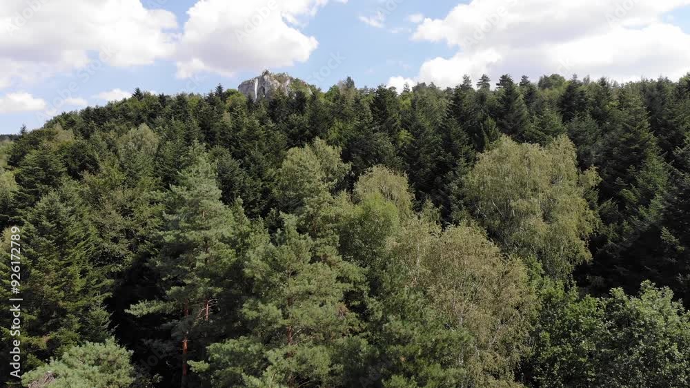 Polish Jura Krakowsko częstochowska in Smoleń. Polish Jura Krakowsko częstochowska in Smoleń.