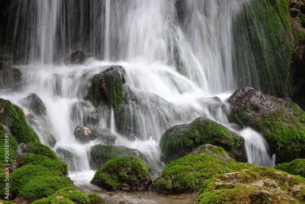 Fototapeta premium waterfall in the forest