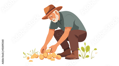 elderly man harvesting potatoes, vector illustration in a flat cartoon design, white background. activity lifestyle concept. Growing fresh vegetables at home. Homegrown food. Senior man gardening.