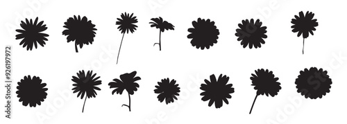 Trendy modern silhouettes daisy flower.