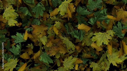  Dynamic full screen animated autumn leaves transition Diagonal wipe