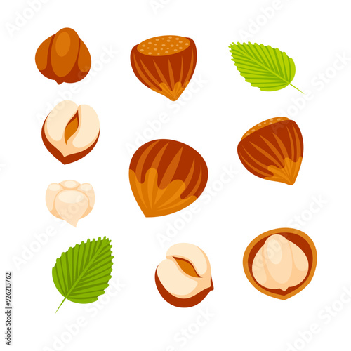 Hazelnuts at various stages of ripeness, showcasing the nut, shell, and kernel, providing a comprehensive visual guide to this popular nut