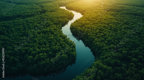 An aerial view of a river winding through a dense forest, the sunlight filtering through the canopy creating a golden glow.