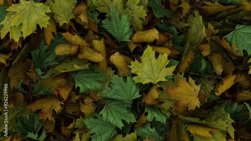 Dynamic full screen animated autumn leaves transition Outer edge outer edge