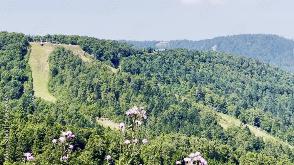 Panoramic Summer View of Lac de la Lande and Grand Artimont from Route des Crêtes in La Bresse, Vosges: Scenic Landscape with Alpine Lake, Meadows, and Vologne Express Chairlift, Grand Est, France