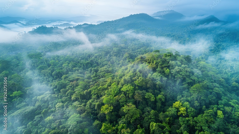 Obraz premium Lush green forest with blue sky and white clouds