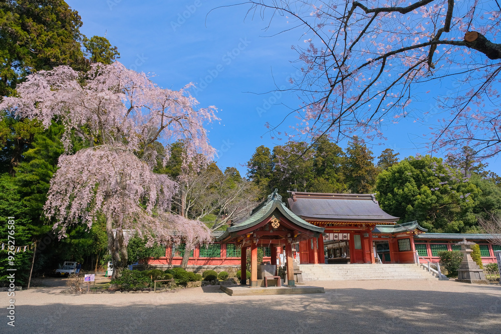 宮城県塩竈市 春の志波彦神社 境内