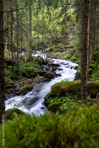 Fluss im Wald