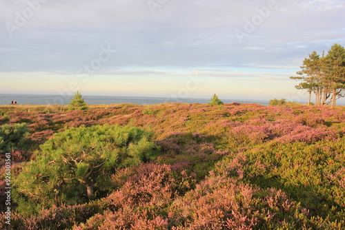 Die Küste der Ostsee