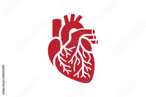 Human heart organ with aorta and arteries vector silhouette illustration 