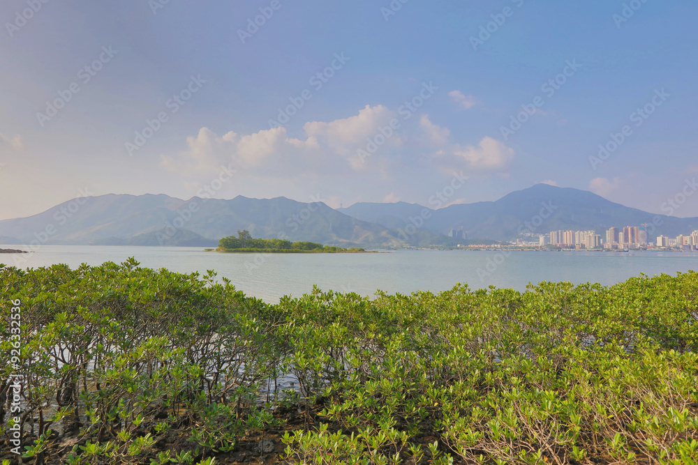 Obraz premium Nov 22 2015 the Plover Cove Country Park LUK KENG