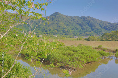 Nov 22 2015 the Plover Cove Country Park LUK KENG photo