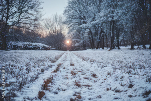 Snowy winter landscape with frozen trees and a path leading through a cold, white forest
