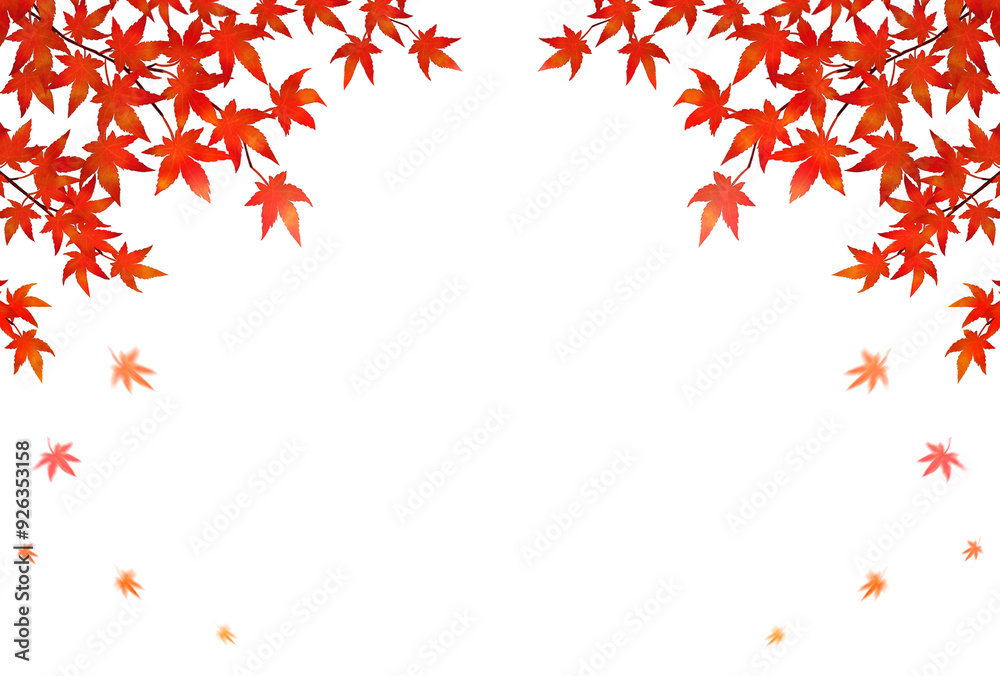 紅葉　秋　素材　水彩画　枠　散る　舞う　紅葉狩り　落ち葉　行楽　田舎　ハイキング　登山　秋祭り　文化祭　お彼岸　スポーツの秋　観光　キャンペーン　シンプル　飾り　見出し　タイトル　白背景　白バック　透過