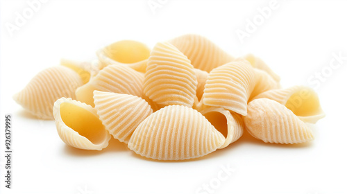 shell pasta isolated on white background
