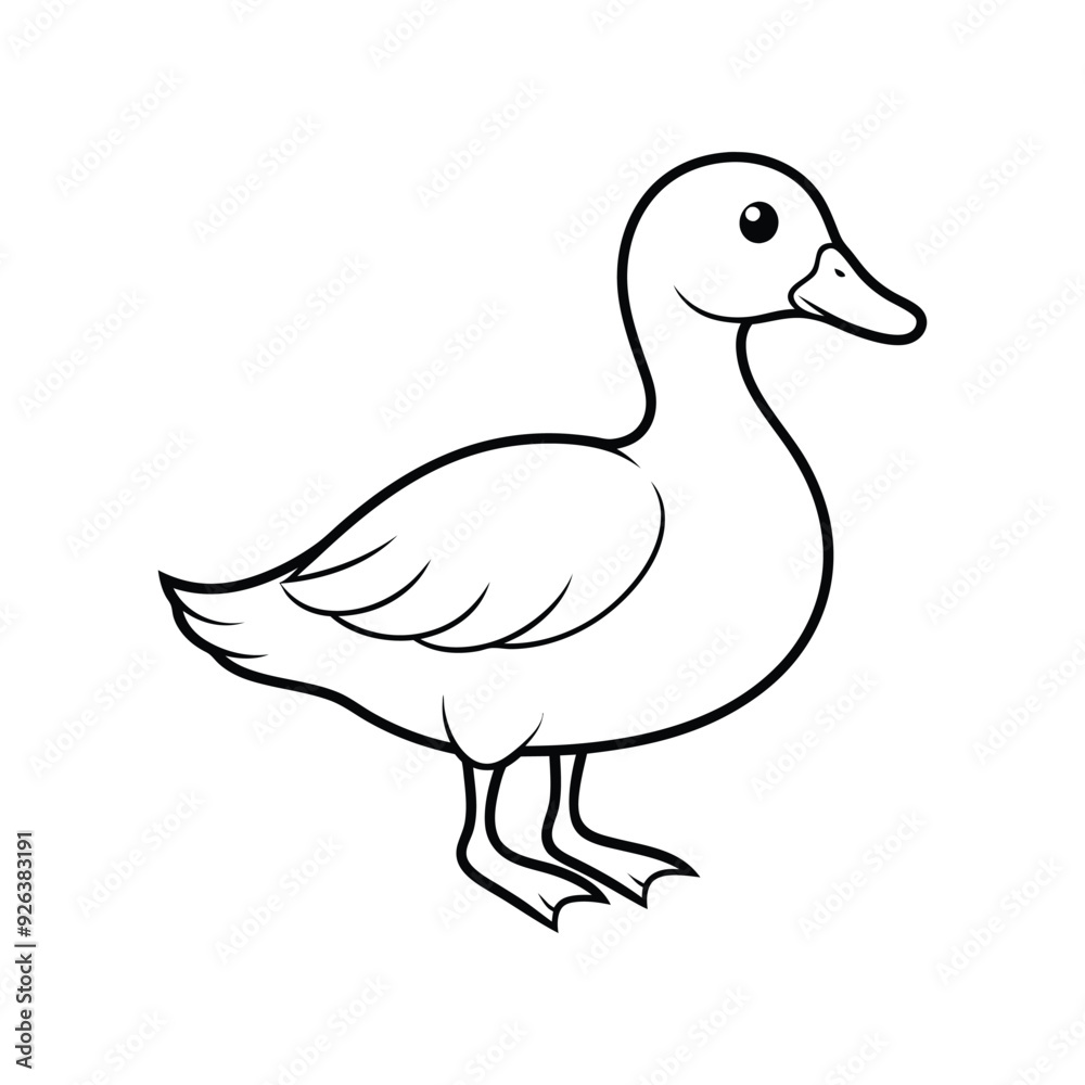 duck illustration duck illustration