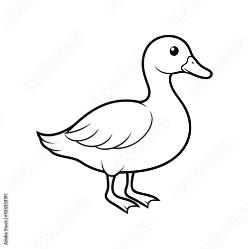 duck illustration