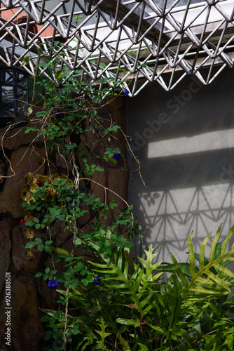 window in the garden