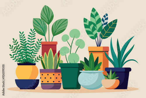 Set of decorative houseplants to decorate the interior of a house or apartment. Collection of various plants in pots
