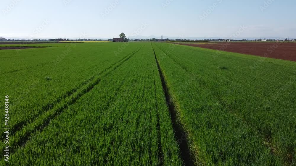 Colori della campagna con colza gialla, terreni arati e grano verde dei campi visti dal drone. Tra San Giuliano Vecchio e Valmadonna, Alessandria, Piemonte, Italia Colori della campagna con colza gialla, terreni arati e grano verde dei campi visti dal drone. Tra San Giuliano Vecchio e Valmadonna, Alessandria, Piemonte, Italia
