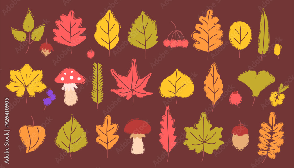 Set of various autumn leaves with texture. Mushrooms, berries, nuts, herbarium. Freehand drawing, texture brush. Vector illustration.
Set of various autumn leaves with texture. Mushrooms, berries, nuts, herbarium. Freehand drawing, texture brush. Vector illustration.