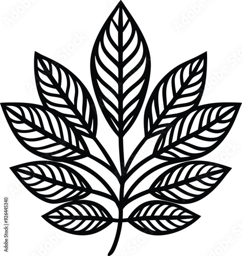 leaves line art illustration black and white