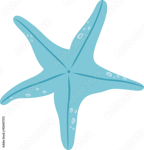 Hand-Drawn Starfish Illustration