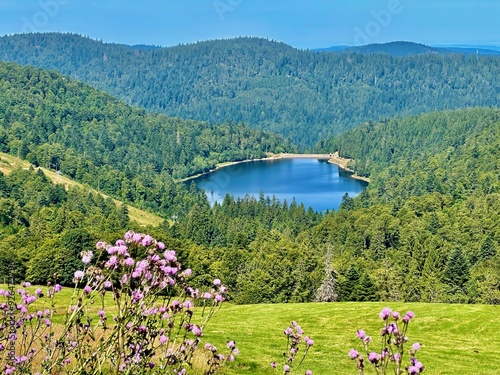 Summer View of Lac de la Lande from Route des Crêtes in La Bresse, Vosges: A Scenic Alpine Lake Nestled in Lush Green Hills Near Hohneck and Schlucht Pass in Grand Est, France