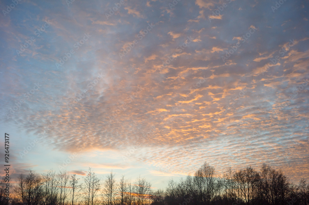 Bright sky, river and trees at sunset, natural background.