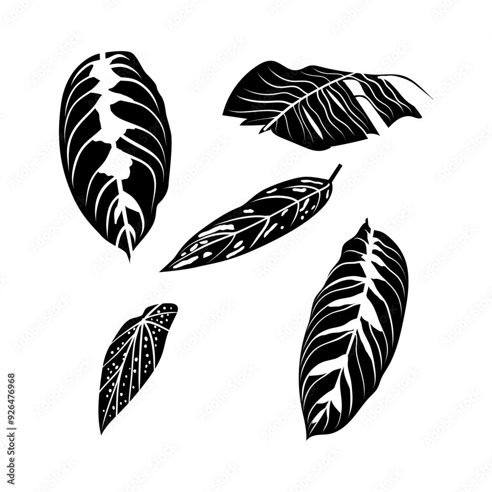 vector illustration of leaf silhouette vector illustration of leaf silhouette