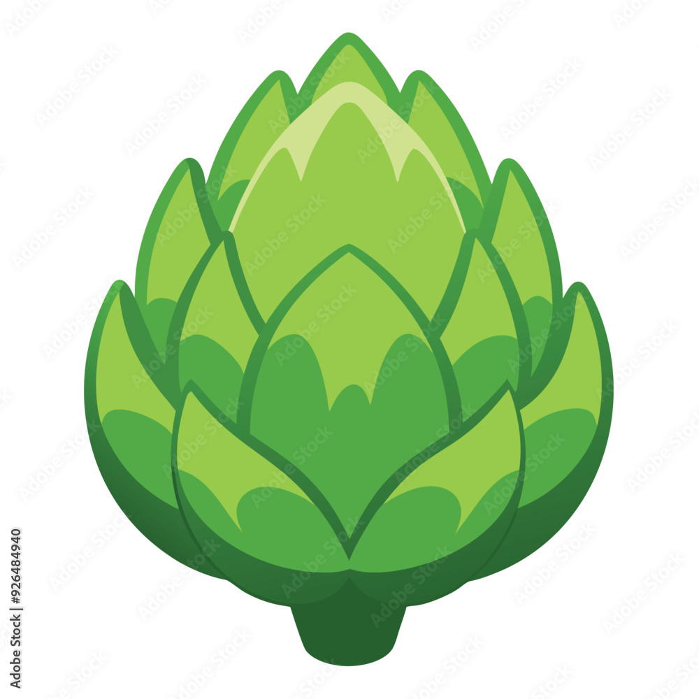 Illustration of Fresh Artichoke Isolated on white Illustration of Fresh Artichoke Isolated on white