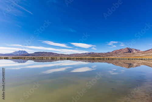 Reserva Nacional de Salinas y Aguada Blanca. Ubicada en el departamento de Arequipa, Peru.