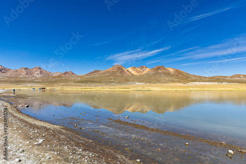 Reserva Nacional de Salinas y Aguada Blanca. Ubicada en el departamento de Arequipa, Peru.