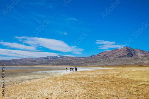 Reserva Nacional de Salinas y Aguada Blanca. Ubicada en el departamento de Arequipa, Peru.