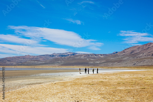 Reserva Nacional de Salinas y Aguada Blanca. Ubicada en el departamento de Arequipa, Peru.