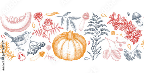 Vintage autumn seamless pattern. Thanksgiving background. Fall leaves, pumpkins, berries, mushrooms sketches. Hand-drawn vector illustration. NOT AI generated