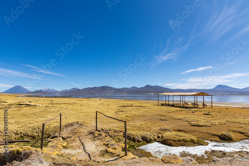Reserva Nacional de Salinas y Aguada Blanca. Ubicada en el departamento de Arequipa, Peru.