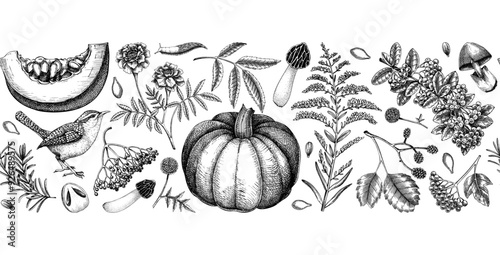 Vintage autumn seamless pattern. Thanksgiving background. Fall leaves, pumpkins, berries, mushrooms sketches. Hand-drawn vector illustration. NOT AI generated
