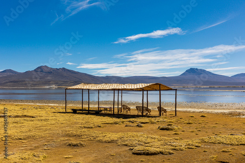 Reserva Nacional de Salinas y Aguada Blanca. Ubicada en el departamento de Arequipa, Peru.