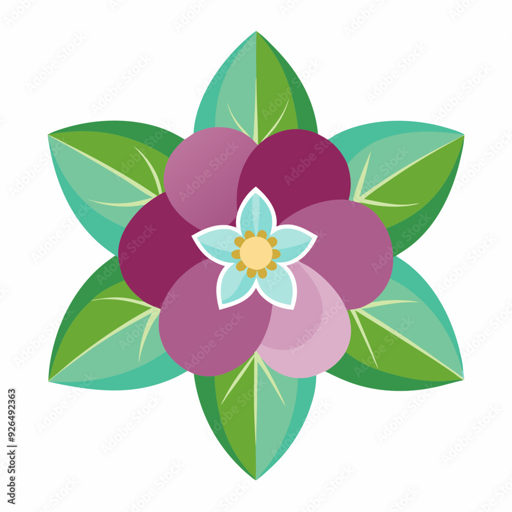 Hellebores flower vector illustration Hellebores flower vector illustration