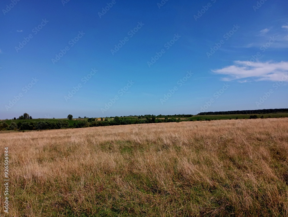 Beautiful field landscape on a flat meadow with dry grass and clear blue sky. A forest and green agricultural crops can be seen on the horizon. Beautiful field landscape on a flat meadow with dry grass and clear blue sky. A forest and green agricultural crops can be seen on the horizon.