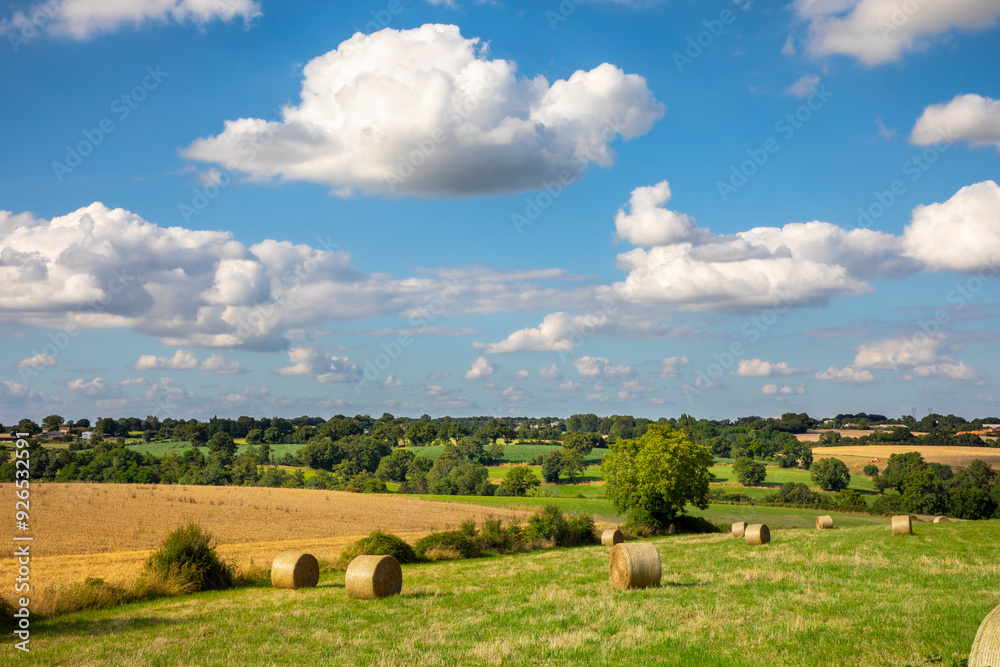 Paysage de campagne fleurie au milieu des champs et des arbres au printemps. Paysage de campagne fleurie au milieu des champs et des arbres au printemps.